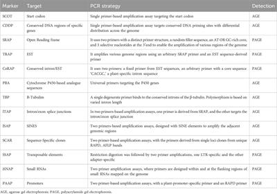 Genetic marker: a genome mapping tool to decode genetic diversity of livestock animals